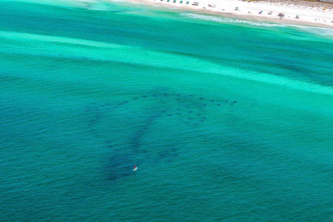 Aparthotel Memory Maker Miramar Beach Esterno foto
